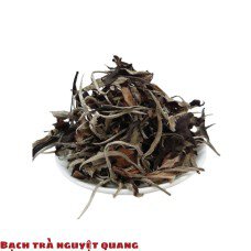 Bạch trà Nguyệt Quang B - Trà Shan Tuyết Cổ Thụ 1 búp 2 lá Thượng Sơn (Hà Giang )